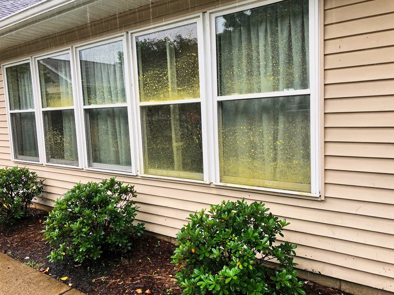 A home's windows hazy with pollen film and rain spots before cleaning