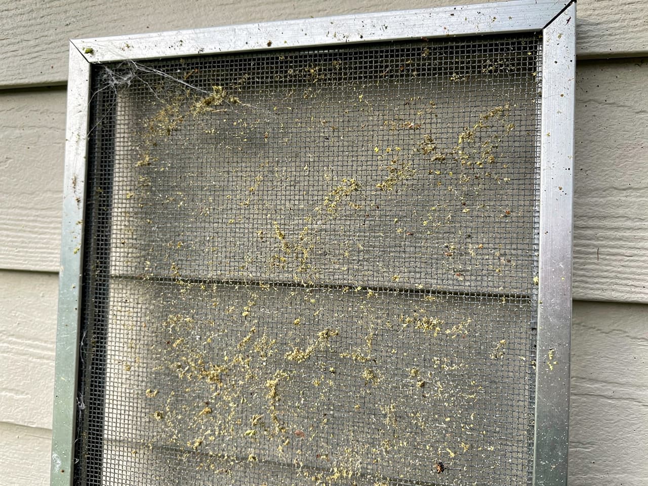 Screen Cleaning results by Brisk Window Cleaning in the Portland–Vancouver metro