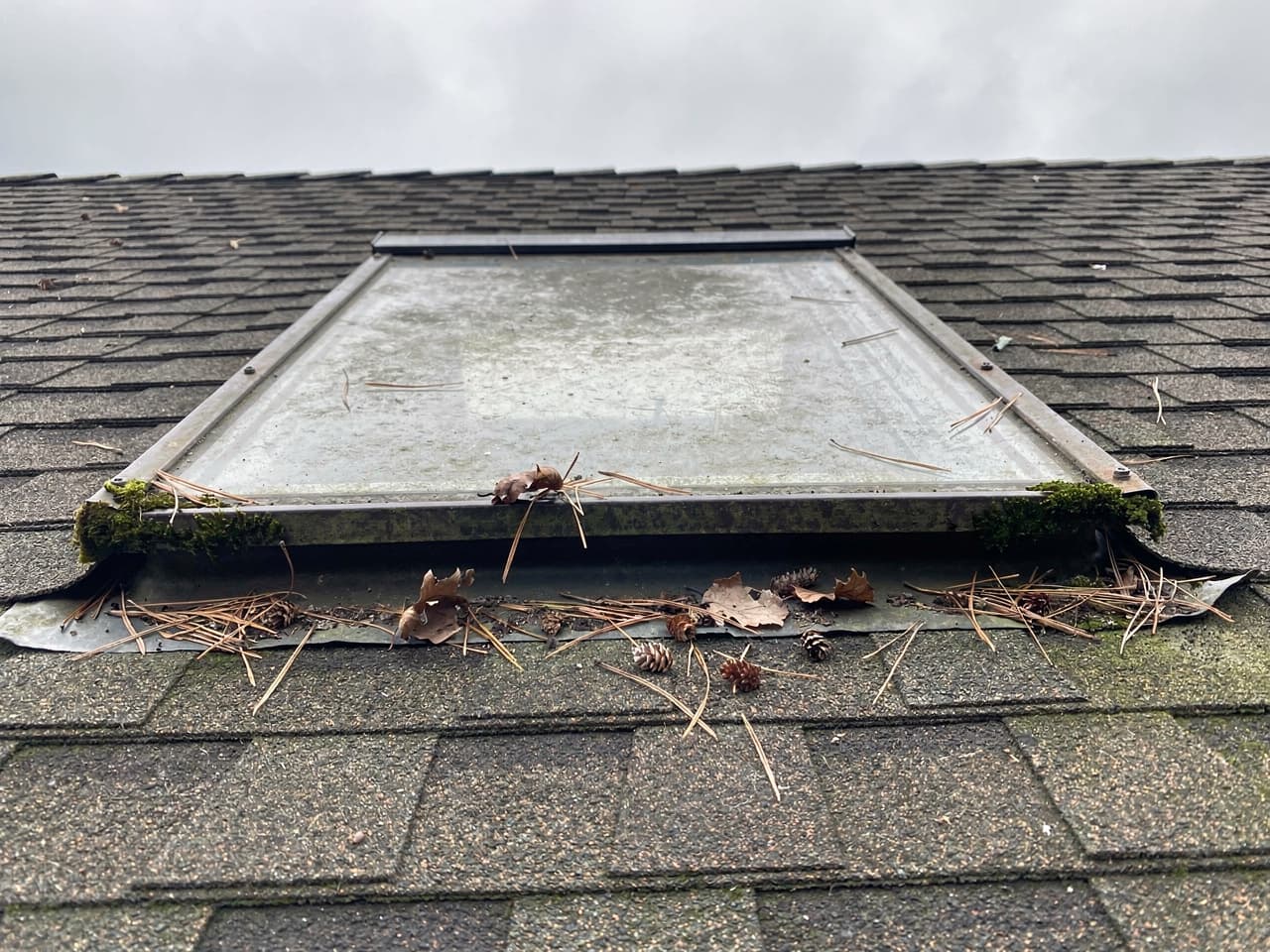 Skylight Cleaning results by Brisk Window Cleaning in the Portland–Vancouver metro