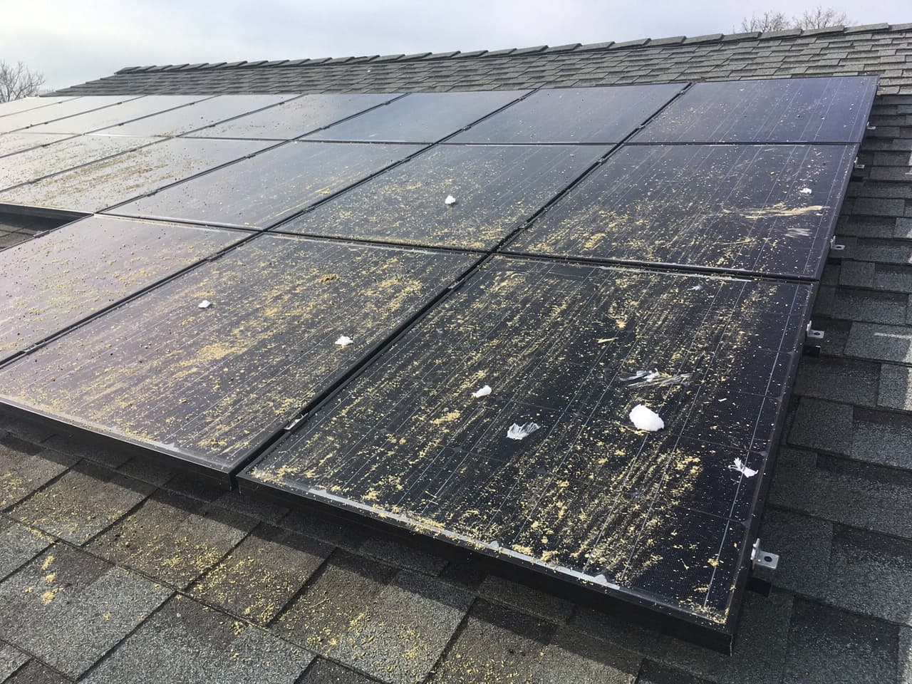 Solar Panel Cleaning results by Brisk Window Cleaning in the Portland–Vancouver metro